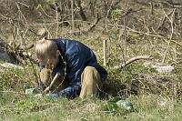 paljasaare_teeme2008 079